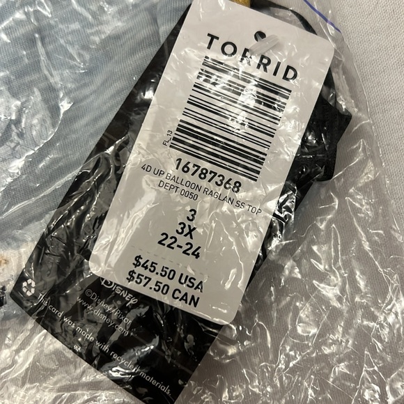 NWT Torrid Disney Pixar Up Raglan Tee with Doug and Russell with Balloons - Picture 4 of 4